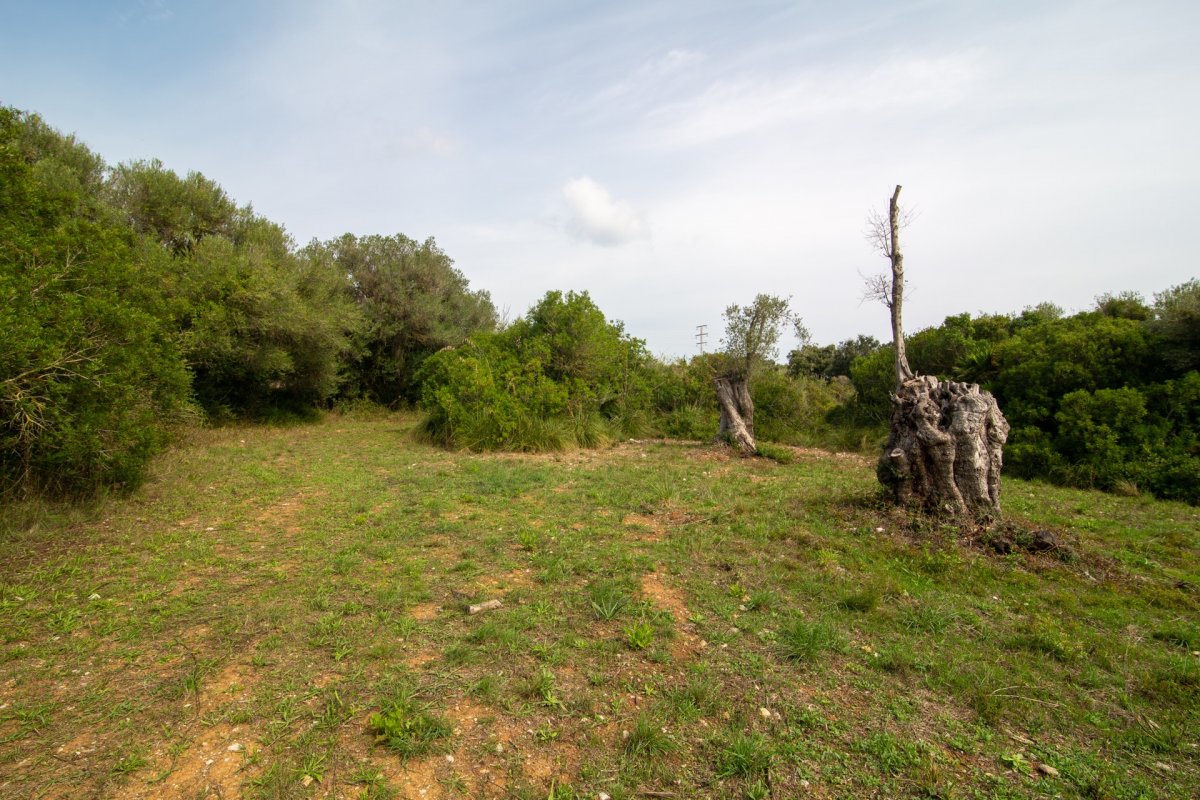 HouseFor Sale, Capdepera, Baleares HouseFor Sale, Capdepera, Baleares