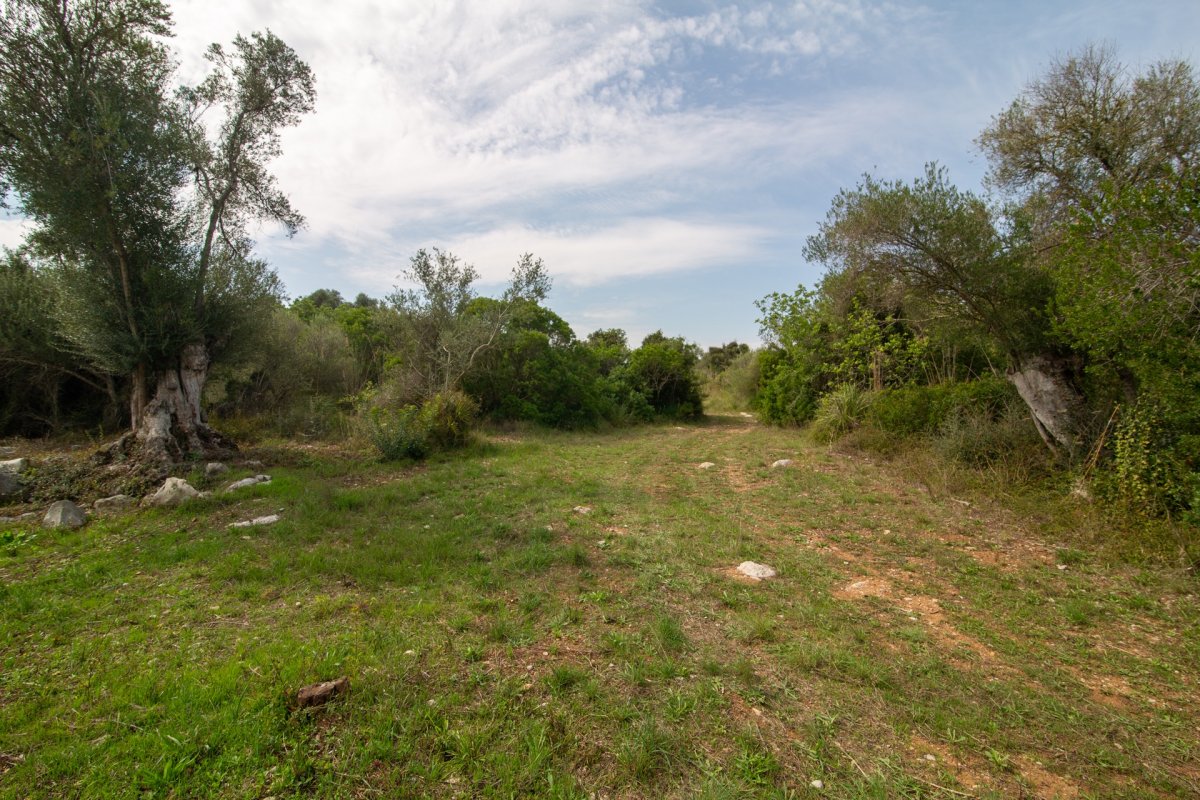 HouseFor Sale, Capdepera, Baleares HouseFor Sale, Capdepera, Baleares