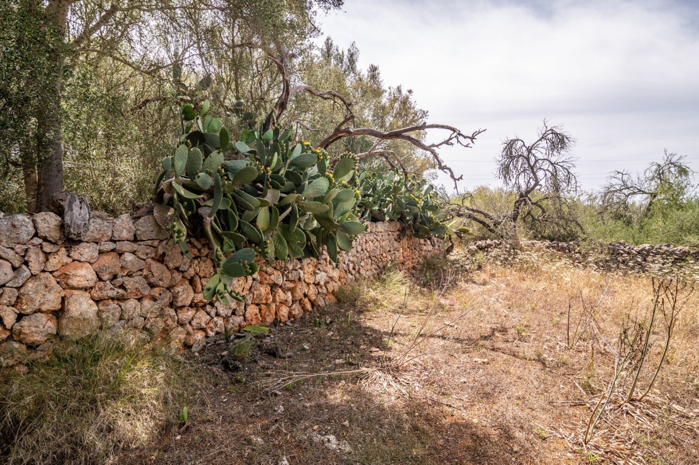 HouseFor Sale, Costitx, Baleares