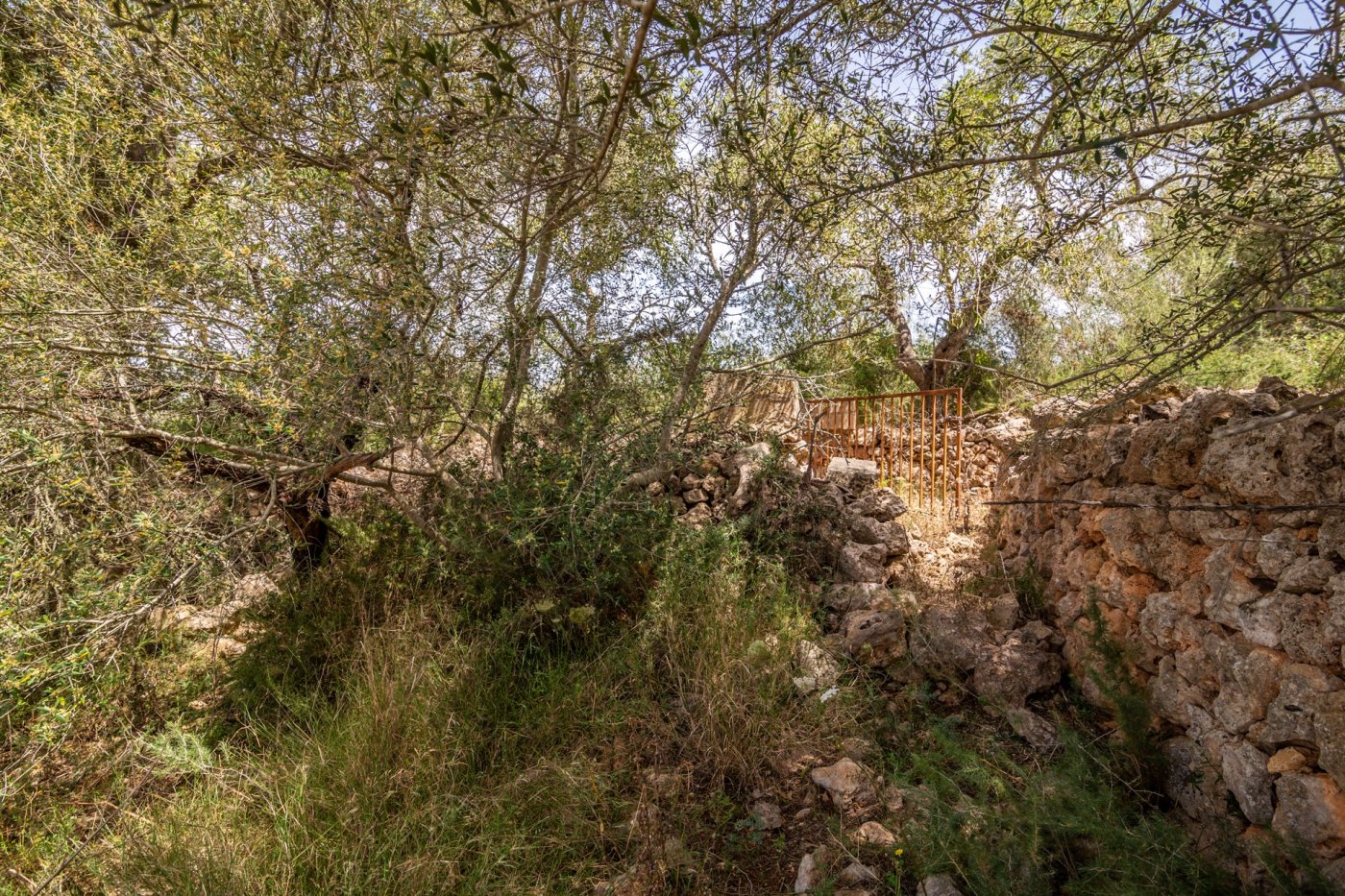 HouseFor Sale, Costitx, Baleares