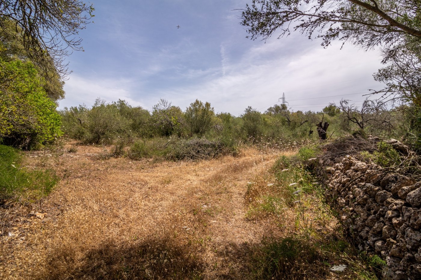 HouseFor Sale, Costitx, Baleares