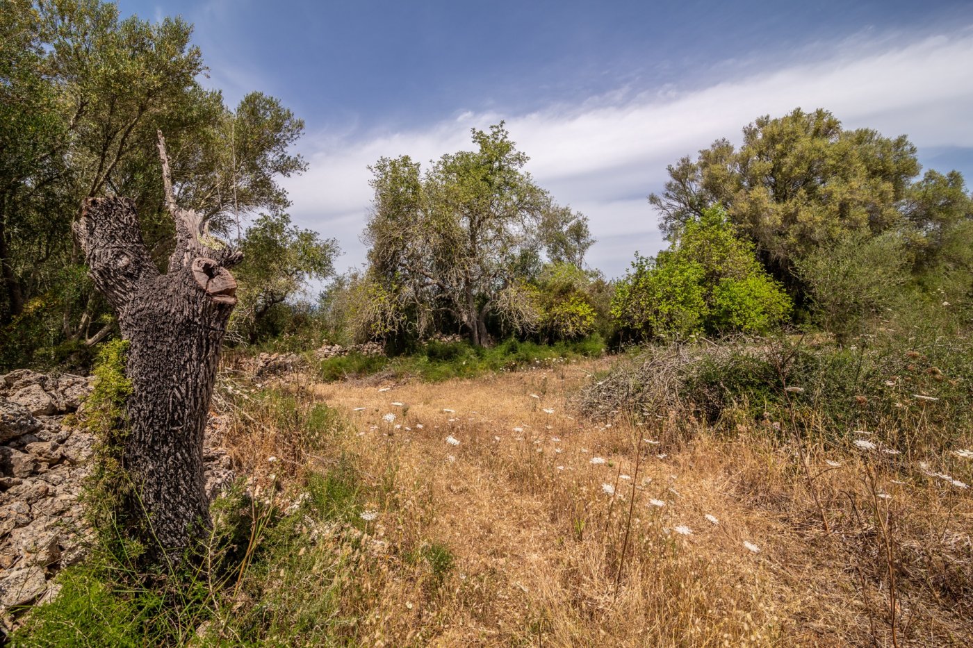 HouseFor Sale, Costitx, Baleares