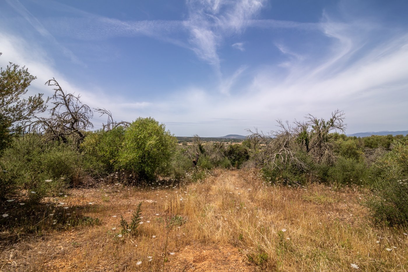 HouseFor Sale, Costitx, Baleares