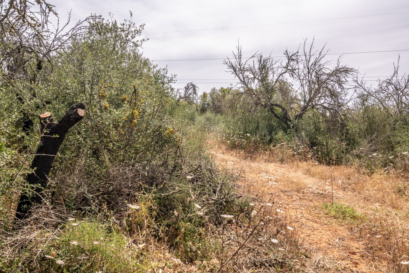 HouseFor Sale, Costitx, Baleares