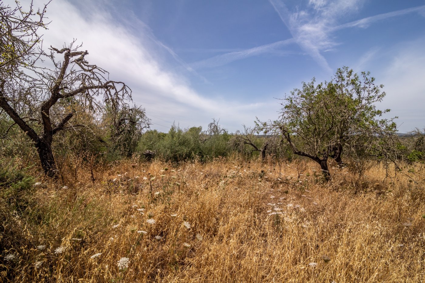 HouseFor Sale, Costitx, Baleares