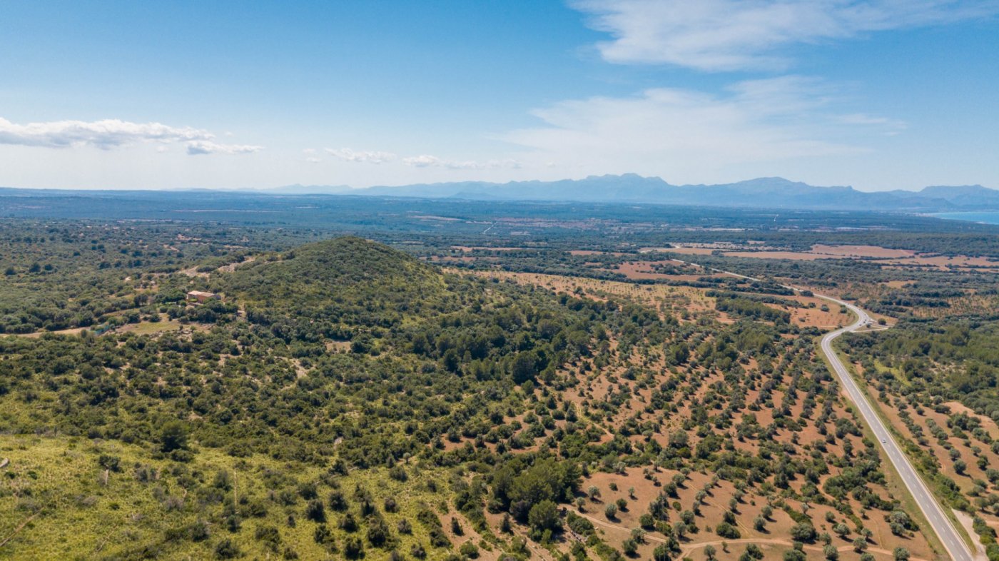 7 Bed, 3 Bath, HouseFor Sale, Arta, Baleares 7 Bed, 3 Bath, HouseFor Sale, Arta, Baleares