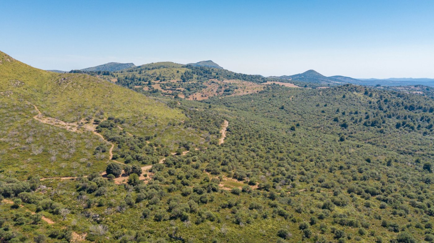 7 Bed, 3 Bath, HouseFor Sale, Arta, Baleares 7 Bed, 3 Bath, HouseFor Sale, Arta, Baleares