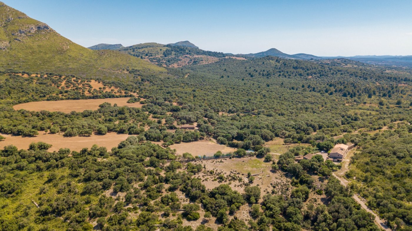 7 Bed, 3 Bath, HouseFor Sale, Arta, Baleares 7 Bed, 3 Bath, HouseFor Sale, Arta, Baleares