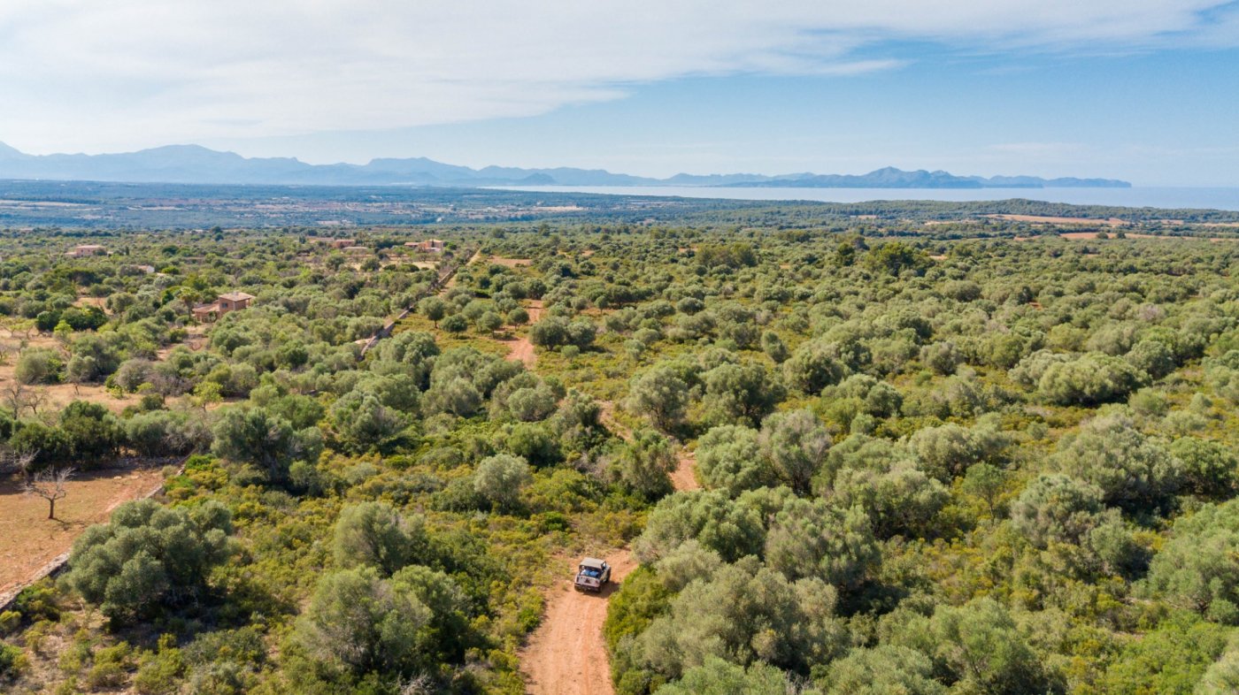 7 Bed, 3 Bath, HouseFor Sale, Arta, Baleares 7 Bed, 3 Bath, HouseFor Sale, Arta, Baleares