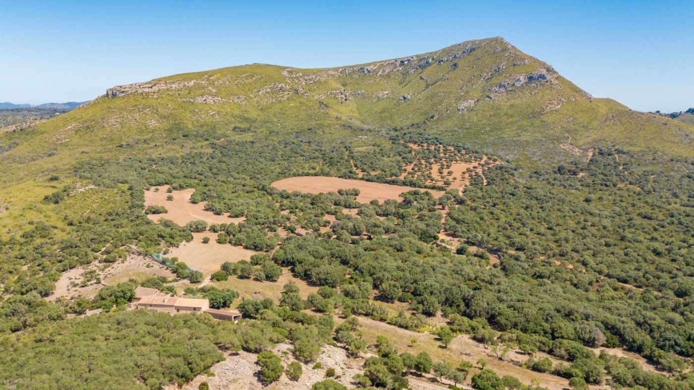 7 Bed, 3 Bath, HouseFor Sale, Arta, Baleares 7 Bed, 3 Bath, HouseFor Sale, Arta, Baleares