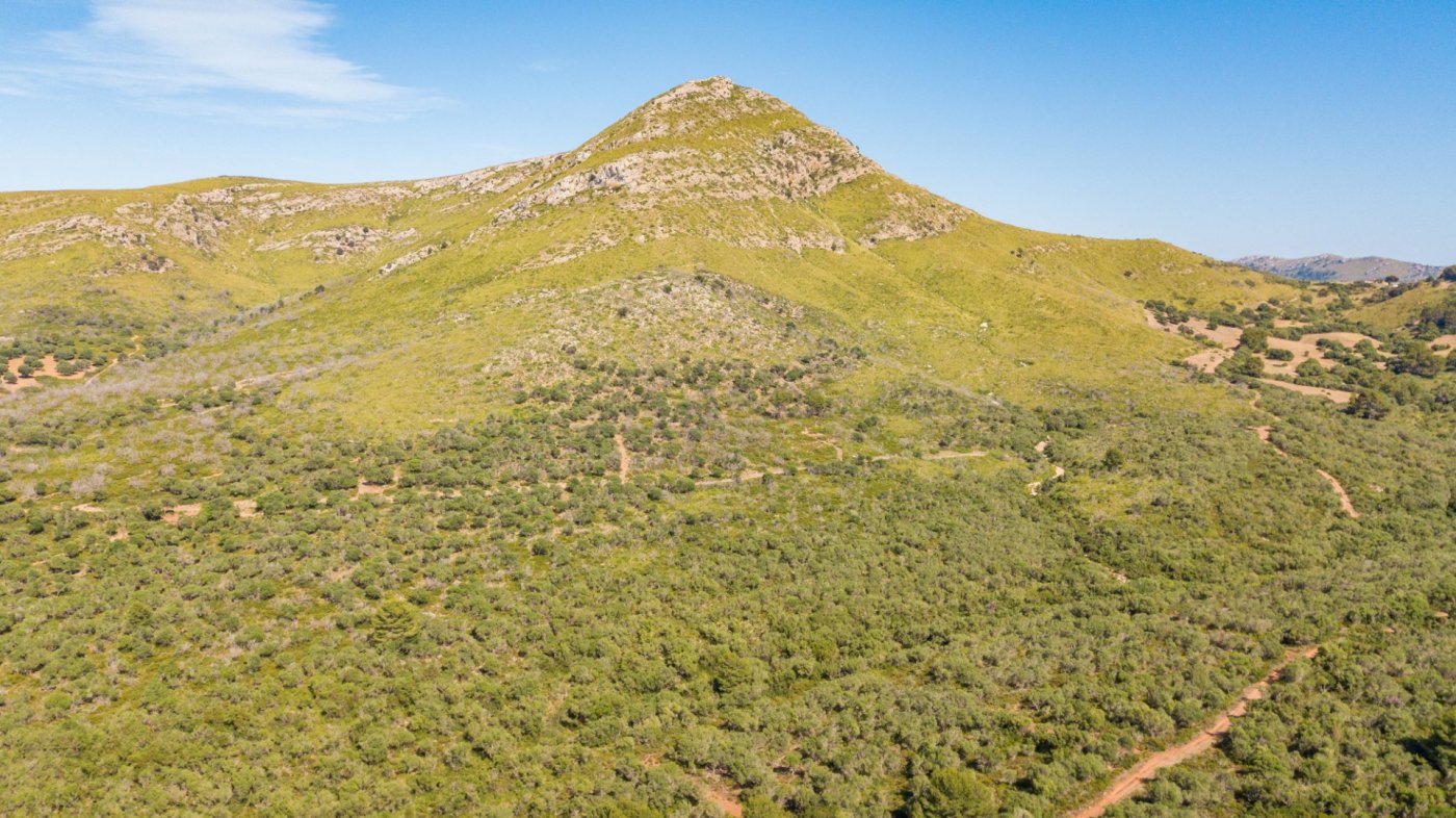 7 Bed, 3 Bath, HouseFor Sale, Arta, Baleares 7 Bed, 3 Bath, HouseFor Sale, Arta, Baleares