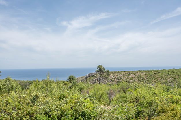 Land, For Sale