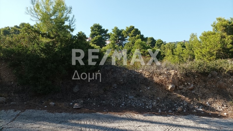 HouseFor Sale, Patitiri, Alonnisos, Sporades HouseFor Sale, Patitiri, Alonnisos, Sporades