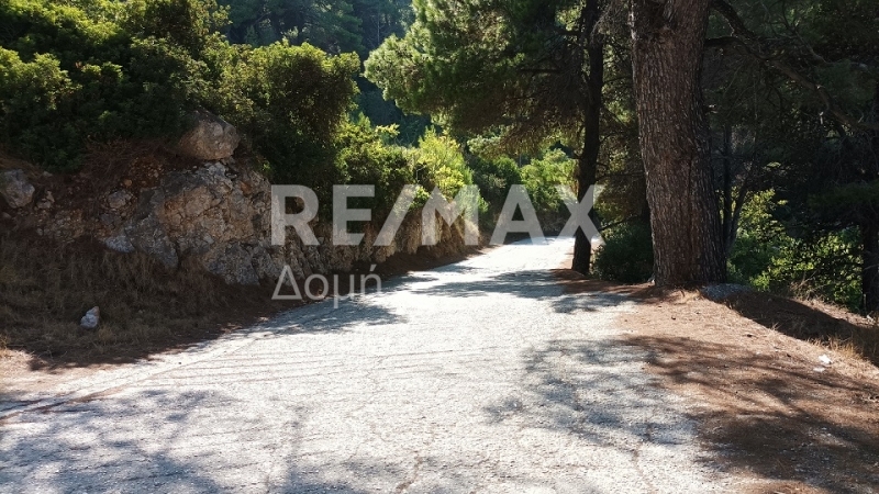 HouseFor Sale, Patitiri, Alonnisos, Sporades HouseFor Sale, Patitiri, Alonnisos, Sporades