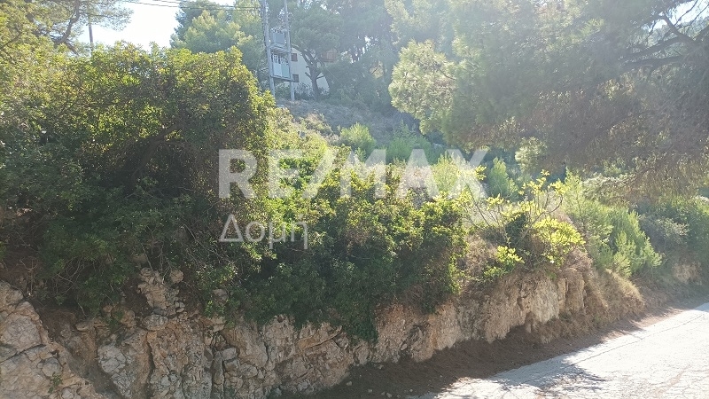 HouseFor Sale, Patitiri, Alonnisos, Sporades HouseFor Sale, Patitiri, Alonnisos, Sporades