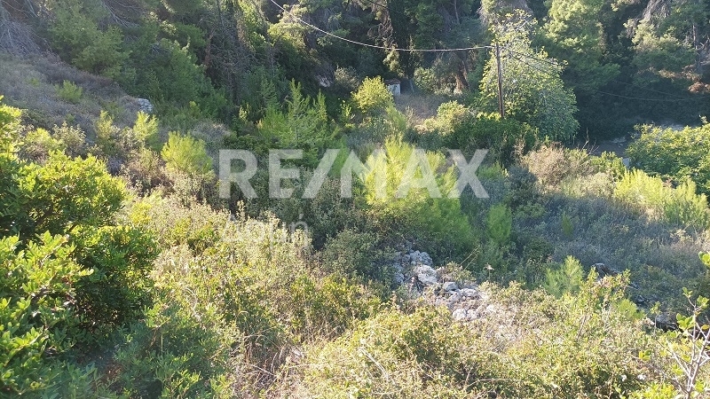 HouseFor Sale, Patitiri, Alonnisos, Sporades HouseFor Sale, Patitiri, Alonnisos, Sporades