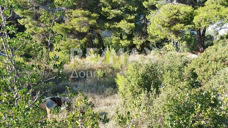 HouseFor Sale, Patitiri, Alonnisos, Sporades HouseFor Sale, Patitiri, Alonnisos, Sporades
