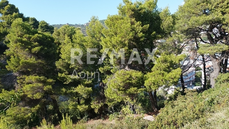 HouseFor Sale, Patitiri, Alonnisos, Sporades HouseFor Sale, Patitiri, Alonnisos, Sporades