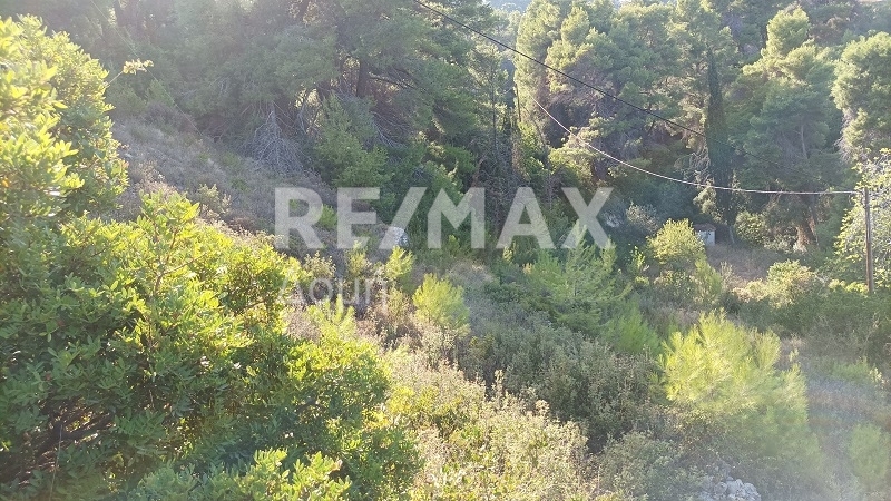 HouseFor Sale, Patitiri, Alonnisos, Sporades HouseFor Sale, Patitiri, Alonnisos, Sporades