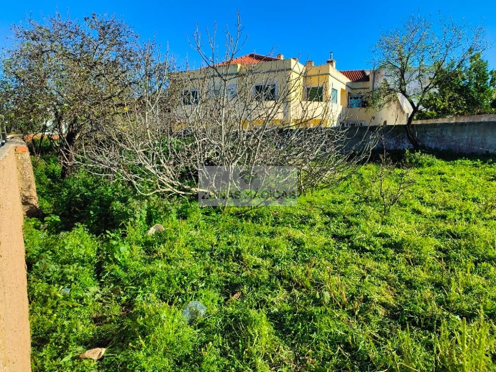 Land, For Sale Land, For Sale