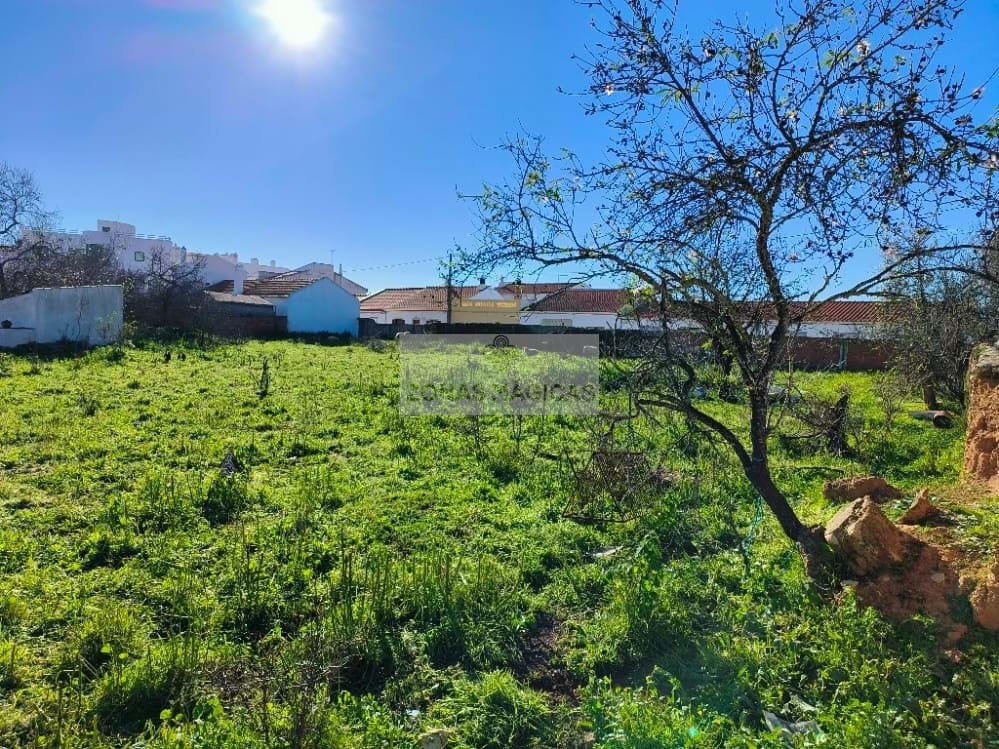 Land, For Sale Land, For Sale