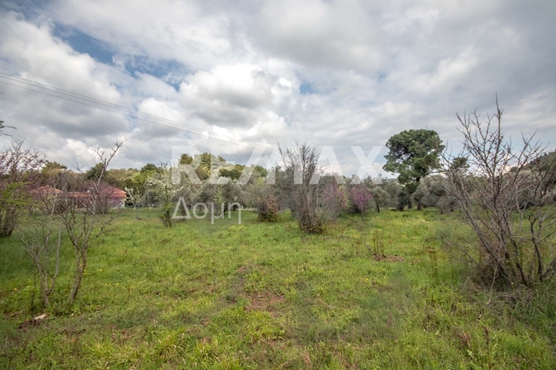 HouseFor Sale, Agios Georgios, Sipiada, Magnesia