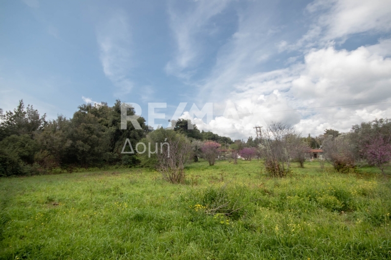 HouseFor Sale, Agios Georgios, Sipiada, Magnesia