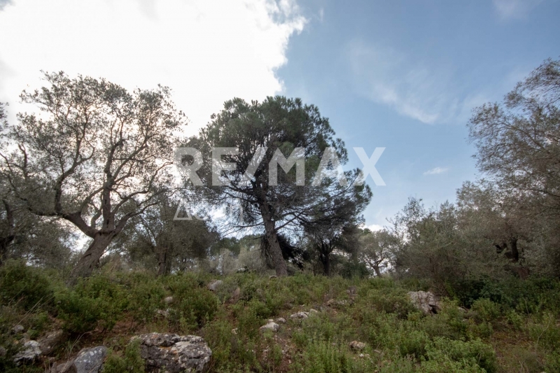 HouseFor Sale, Agios Georgios, Sipiada, Magnesia