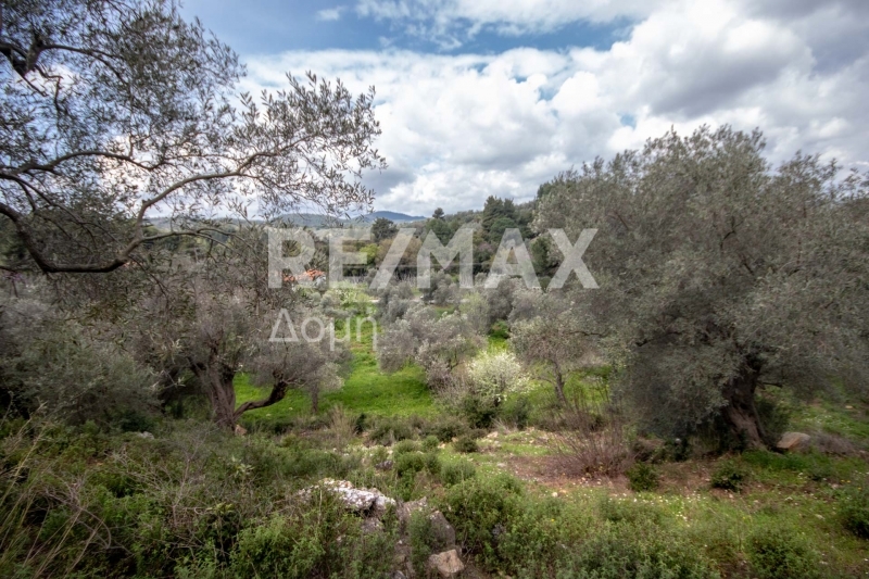 HouseFor Sale, Agios Georgios, Sipiada, Magnesia