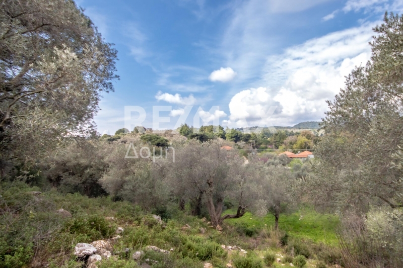 HouseFor Sale, Agios Georgios, Sipiada, Magnesia