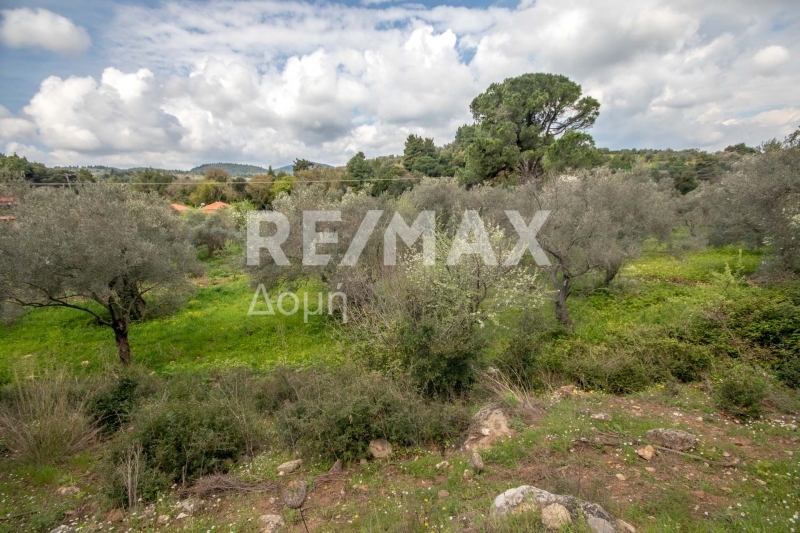 HouseFor Sale, Agios Georgios, Sipiada, Magnesia
