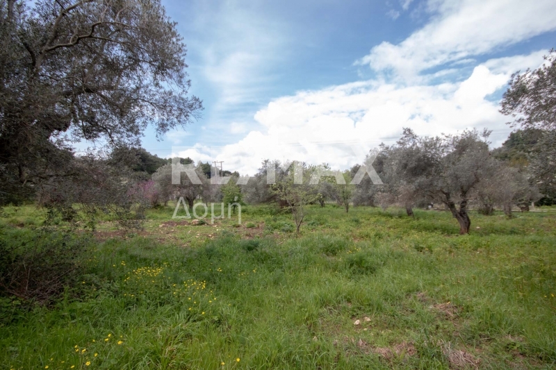 HouseFor Sale, Agios Georgios, Sipiada, Magnesia