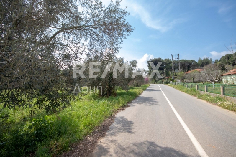 HouseFor Sale, Agios Georgios, Sipiada, Magnesia