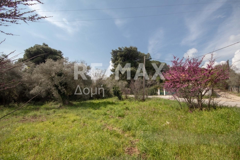 HouseFor Sale, Agios Georgios, Sipiada, Magnesia