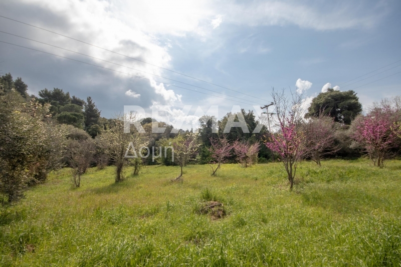 HouseFor Sale, Agios Georgios, Sipiada, Magnesia