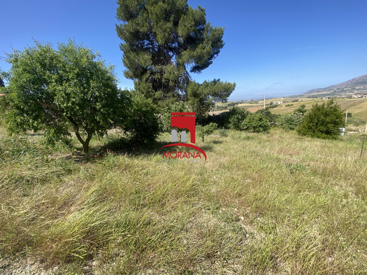 3 Bed, HouseFor Sale, Buseto Palizzolo, Trapani, Sicilia 3 Bed, HouseFor Sale, Buseto Palizzolo, Trapani, Sicilia