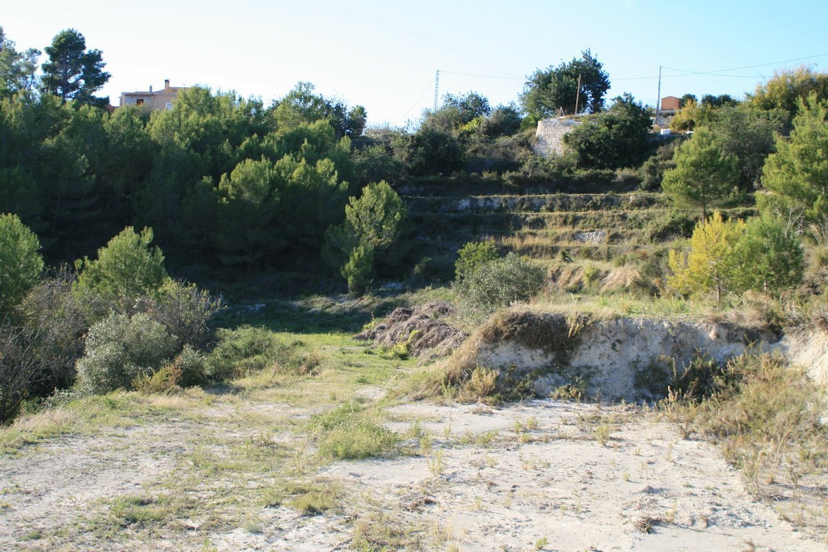 Land, For Sale Land, For Sale