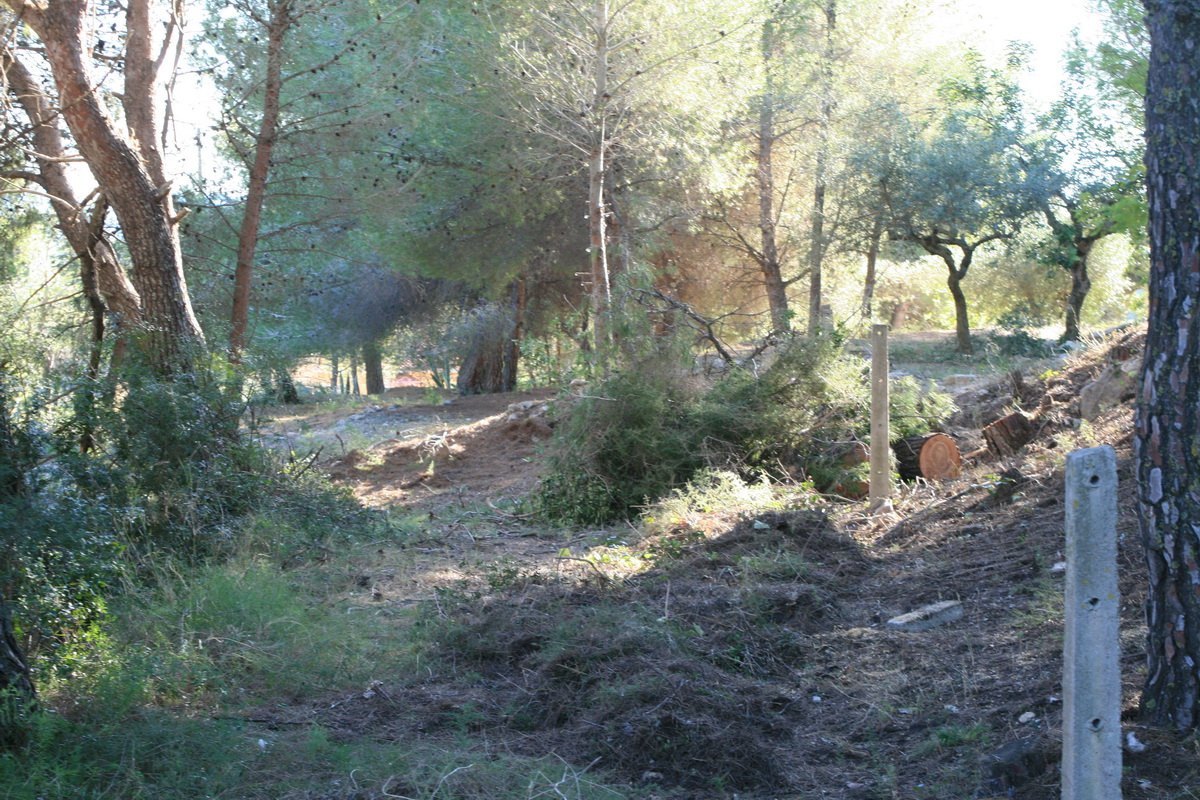 Land, For Sale Land, For Sale