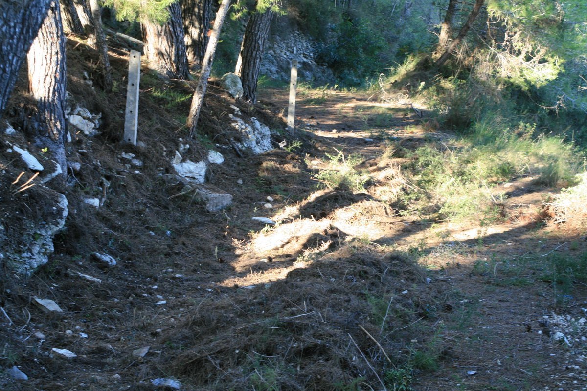 Land, For Sale Land, For Sale