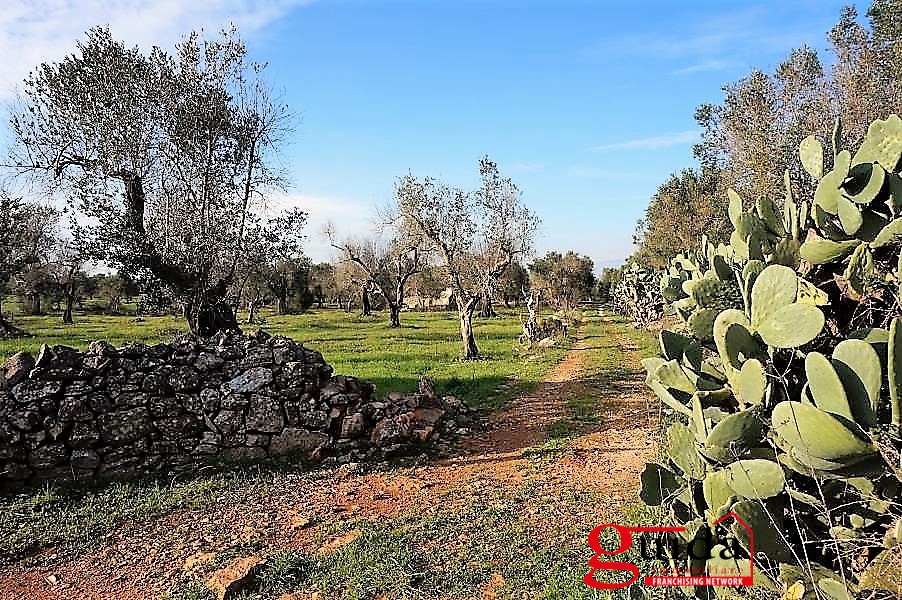 Land, For Sale Land, For Sale