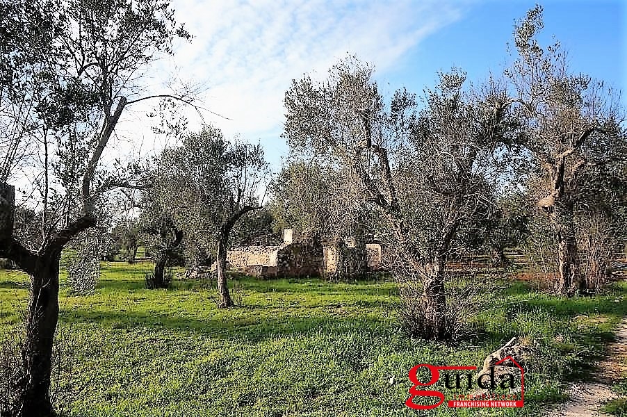 Land, For Sale Land, For Sale