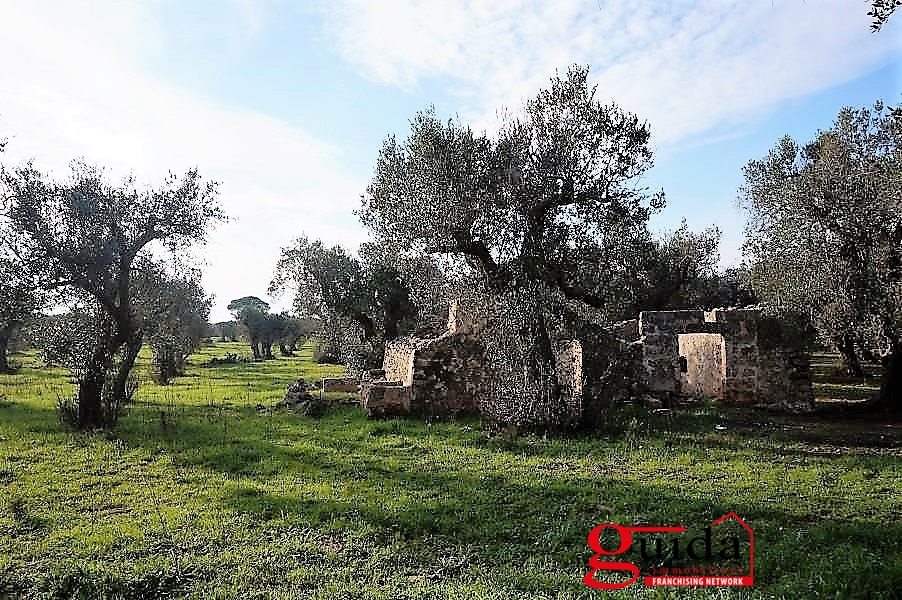 Land, For Sale Land, For Sale