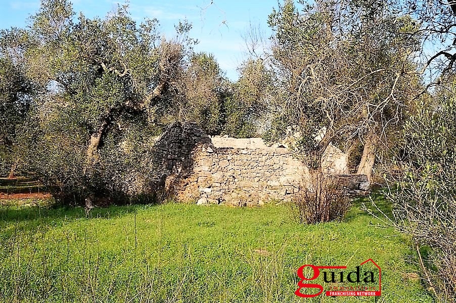 Land, For Sale Land, For Sale