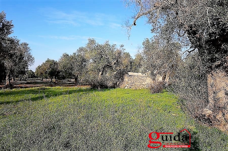 Land, For Sale Land, For Sale