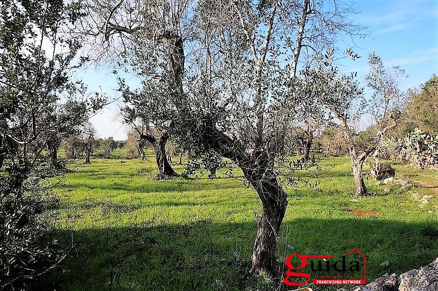 Land, For Sale Land, For Sale
