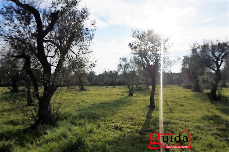 Land, For Sale Land, For Sale