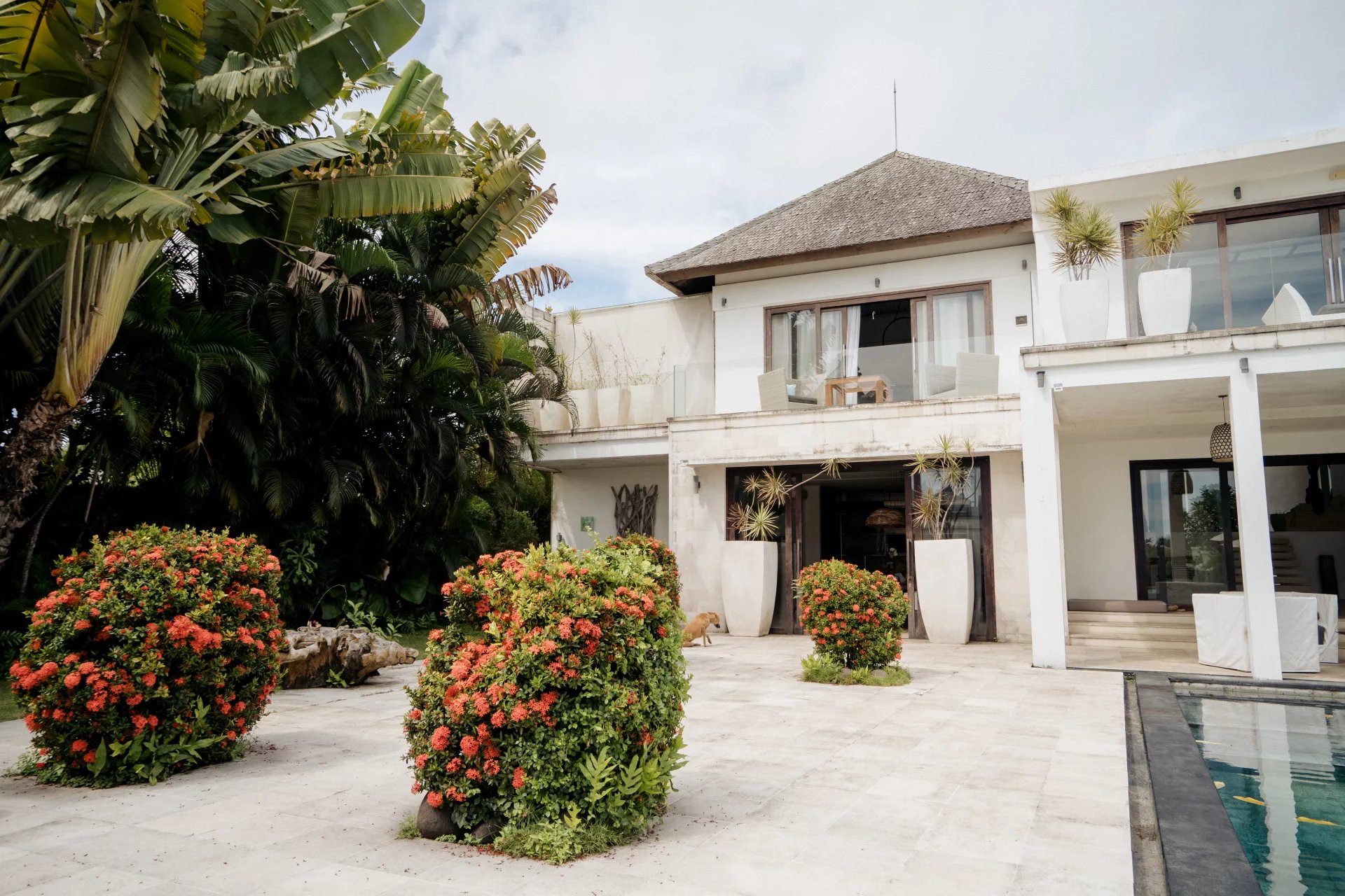 5 Bed, HouseFor Sale, Canggu, Bali