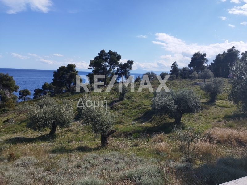 Land, For Sale Land, For Sale