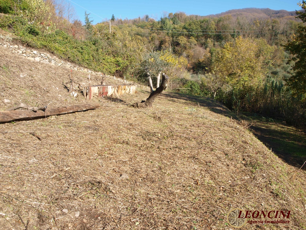 3 Bed, HouseFor Sale, Toscana