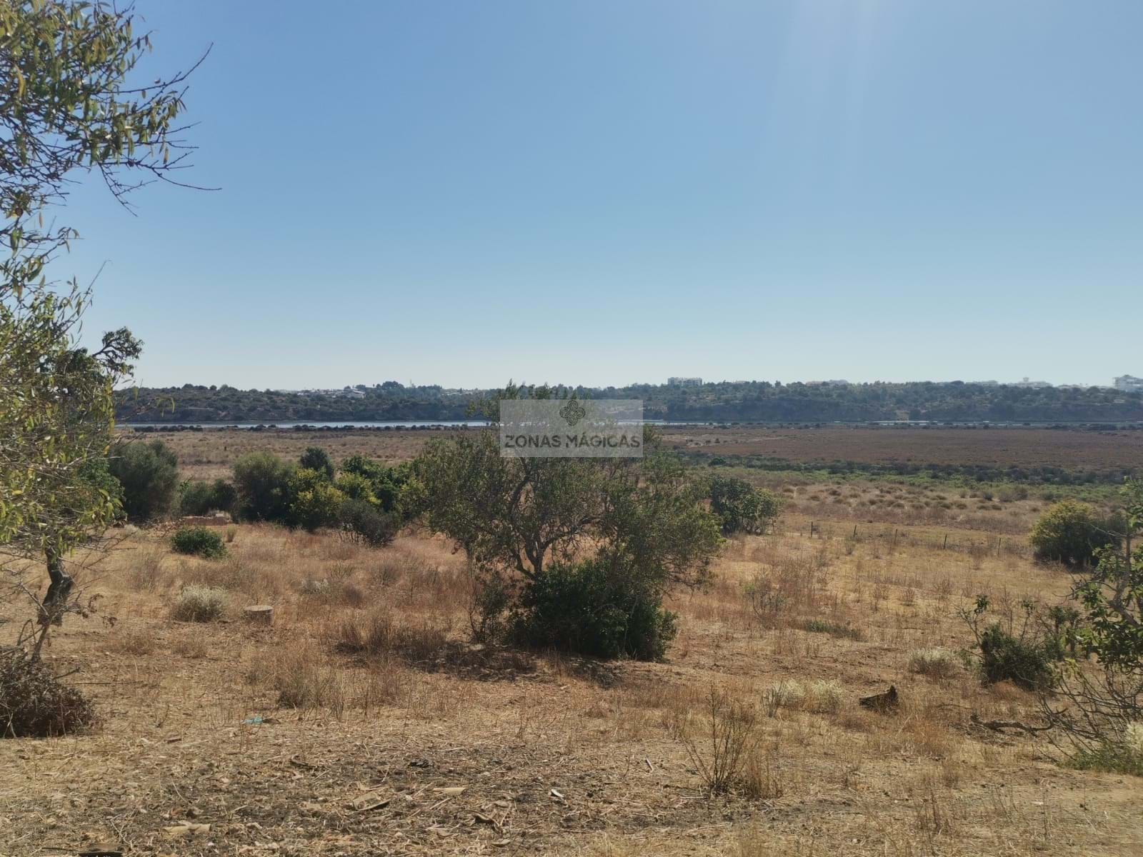 Land, For Sale Land, For Sale